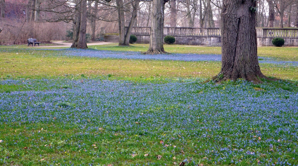 Residenz Ellingen featuring wildflowers and a park