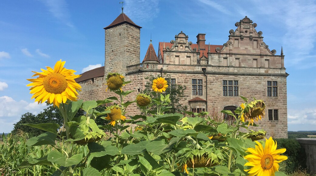 Castle Cadolzburg featuring chateau or palace, wildflowers and heritage architecture