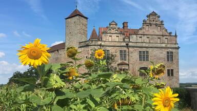 A historic stone building with a tower and a large sunflower field in the foreground.