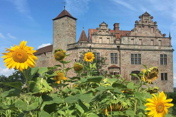 Castle Cadolzburg featuring chateau or palace, wildflowers and heritage architecture