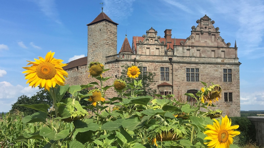Castle Cadolzburg featuring chateau or palace, wildflowers and heritage architecture