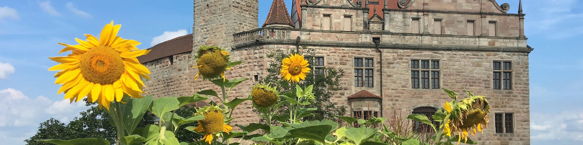Castle Cadolzburg featuring chateau or palace, wildflowers and heritage architecture