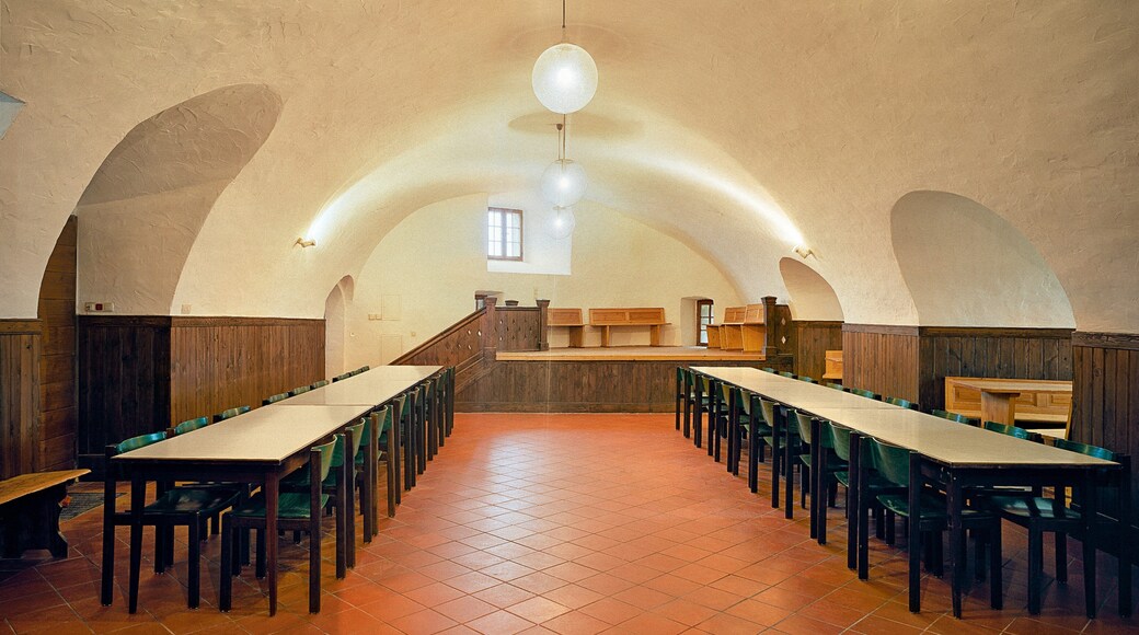 Zwernitz Castle featuring interior views