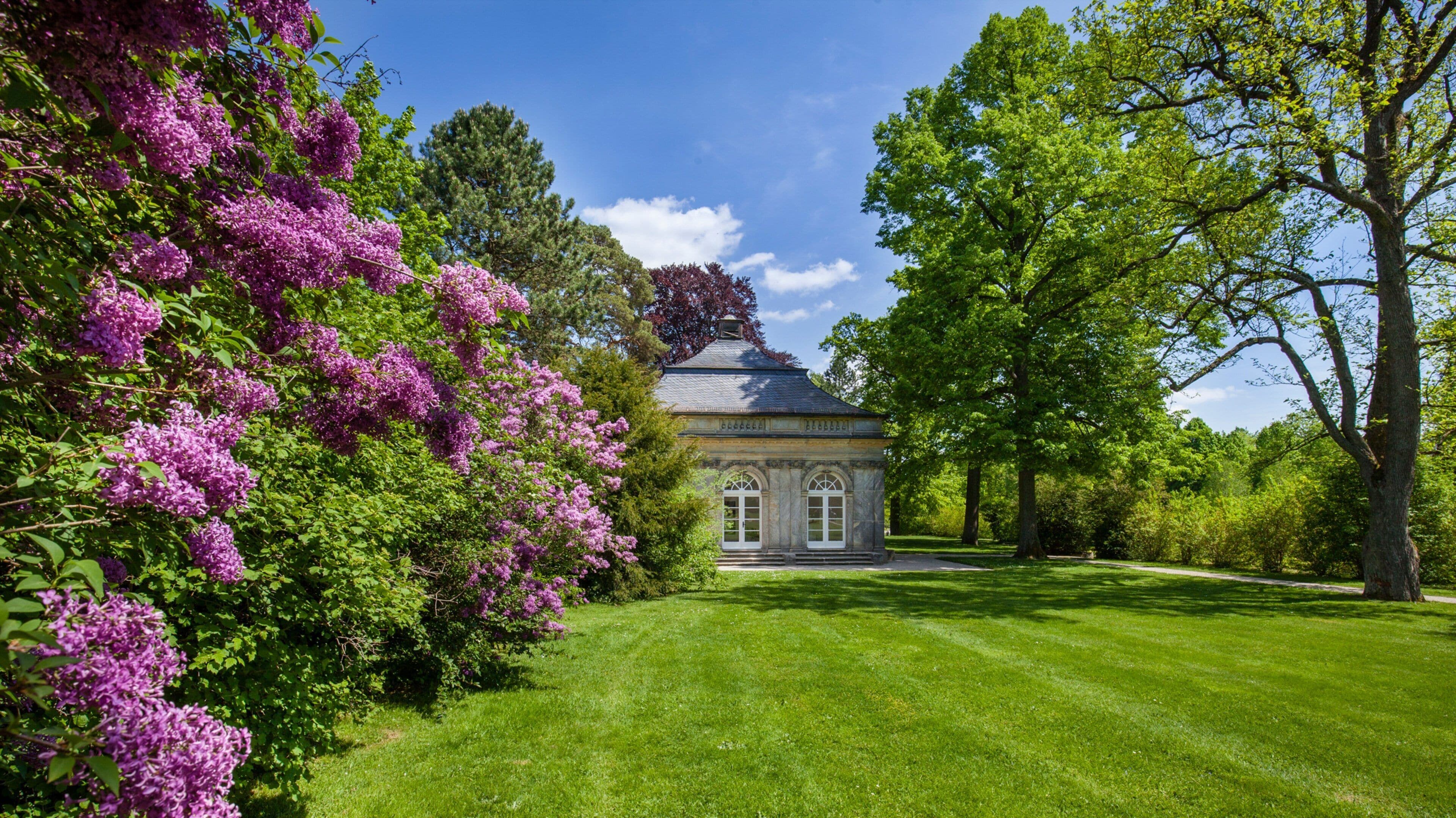 Fantaisie Palace featuring wildflowers, a castle and a park