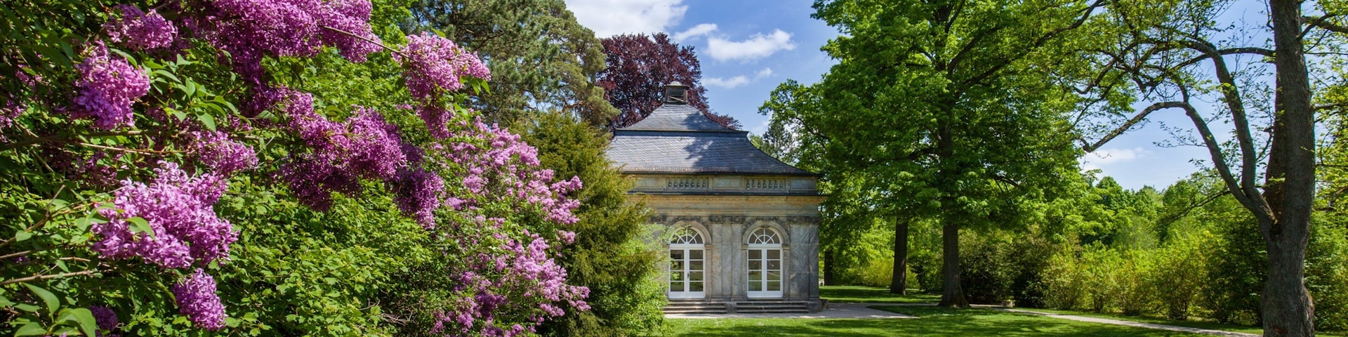 Fantaisie Palace featuring wildflowers, a castle and a park