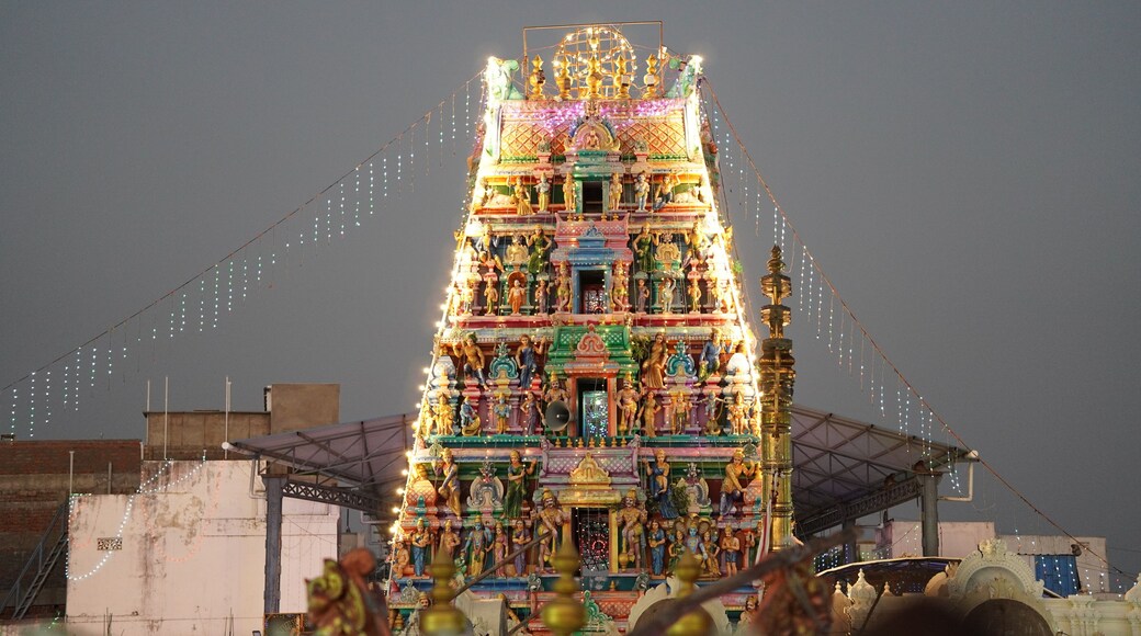 Sri Mallikarjuna Swamy Kamakshi Tayee Devasthanam, Buchireddypalem, Nellore, Andhra Pradesh.