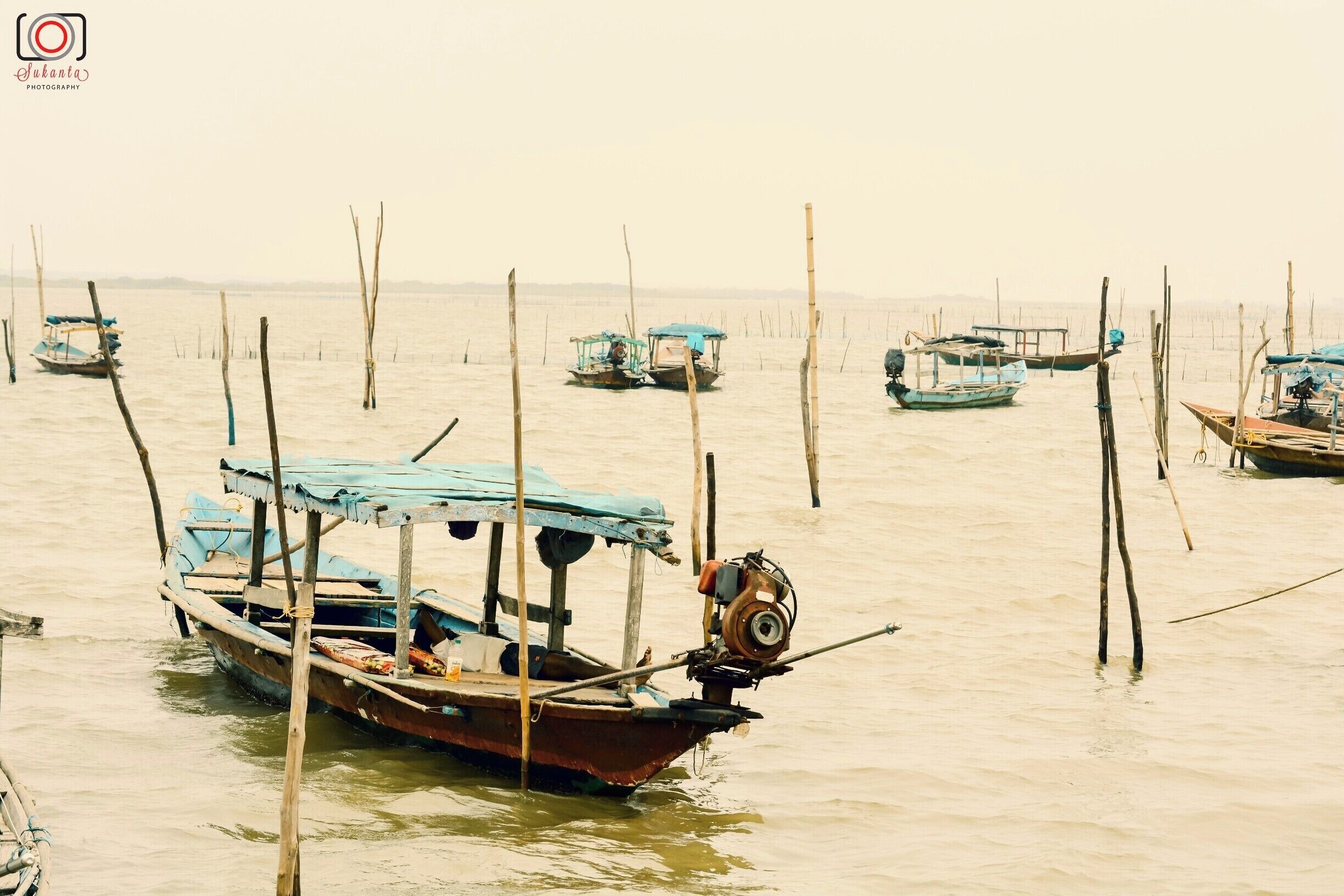 Chilika lake is a brackish water lagoon, spread over the Puri, Khurda and Ganjam districts of Odisha state on the east coast of India, at the mouth of the Daya River, flowing into the Bay of Bengal, covering an area of over 1,100 km2. It is the largest coastal lagoon in India and the second largest lagoon in the world[3][4][dubious – discuss] after The New Caledonian barrier reef in New Caledonia.

It is the largest wintering ground for migratory birds on the Indian sub-continent. The lake is home to a number of threatened species of plants and animals.

The lake is an ecosystem with large fishery resources. It sustains more than 150,000 fisher–folk living in 132 villages on the shore and islands.
The lagoon hosts over 160 species of birds in the peak migratory season. Birds from as far as the Caspian Sea, Lake Baikal, Aral Sea and other remote parts of Russia, Kirghiz steppes of Mongolia, Central and southeast Asia, Ladakh and Himalayas come here. These birds travel great distances; migratory birds probably follow much longer routes than the straight lines, possibly up to 12,000 km, to reach Chilika Lake.

In 1981, Chilika Lake was designated the first Indian wetland of international importance under the Ramsar Convention.

According to a survey, 45 percent of the birds are terrestrial in nature, 32 percent are waterfowl, and 23 percent are waders. The lagoon is also home to 14 types of raptors. Around 152 rare and endangered Irrawaddy dolphins have also been reported. Plus, the lagoon supports about 37 species of reptiles and amphibians.

The highly productive chilika lagoon eco-system with its rich fishery resources sustains the livelihood for many fisher men who live in and near the Lagoon. The water spread area of the Lagoon ranges between 1165 and 906 km2 during the monsoon and summer respectively. A 32 km long, narrow, outer channel connects the lagoon to the Bay of Bengal, near the village Motto. More recently a new mouth has been opened by CDA which has brought a new lease of life to the lagoon.

Microalgae, marine seaweeds, sea grasses, fishes and crabs also flourish in the brackish water of the Chilika Lagoon. Especially the recovery of sea grass beds in recent years is a welcoming trend which may eventually result in re-colorizations of endangered dugongs.