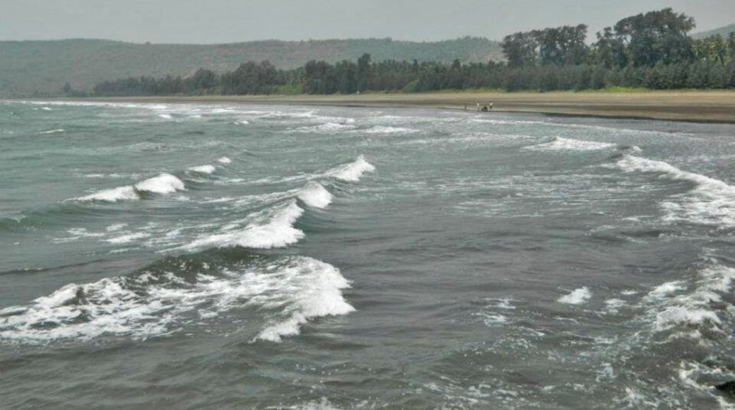 Besides a major pilgrimage center, Harihareshwar is a popular beach resort with two beaches, one to the north and the other to the south of the temple.
#Beach