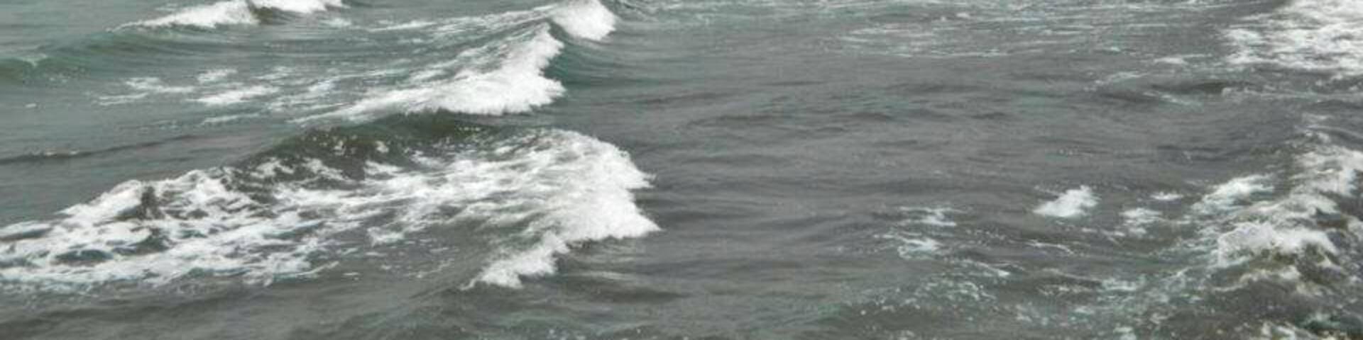 Besides a major pilgrimage center, Harihareshwar is a popular beach resort with two beaches, one to the north and the other to the south of the temple.
#Beach