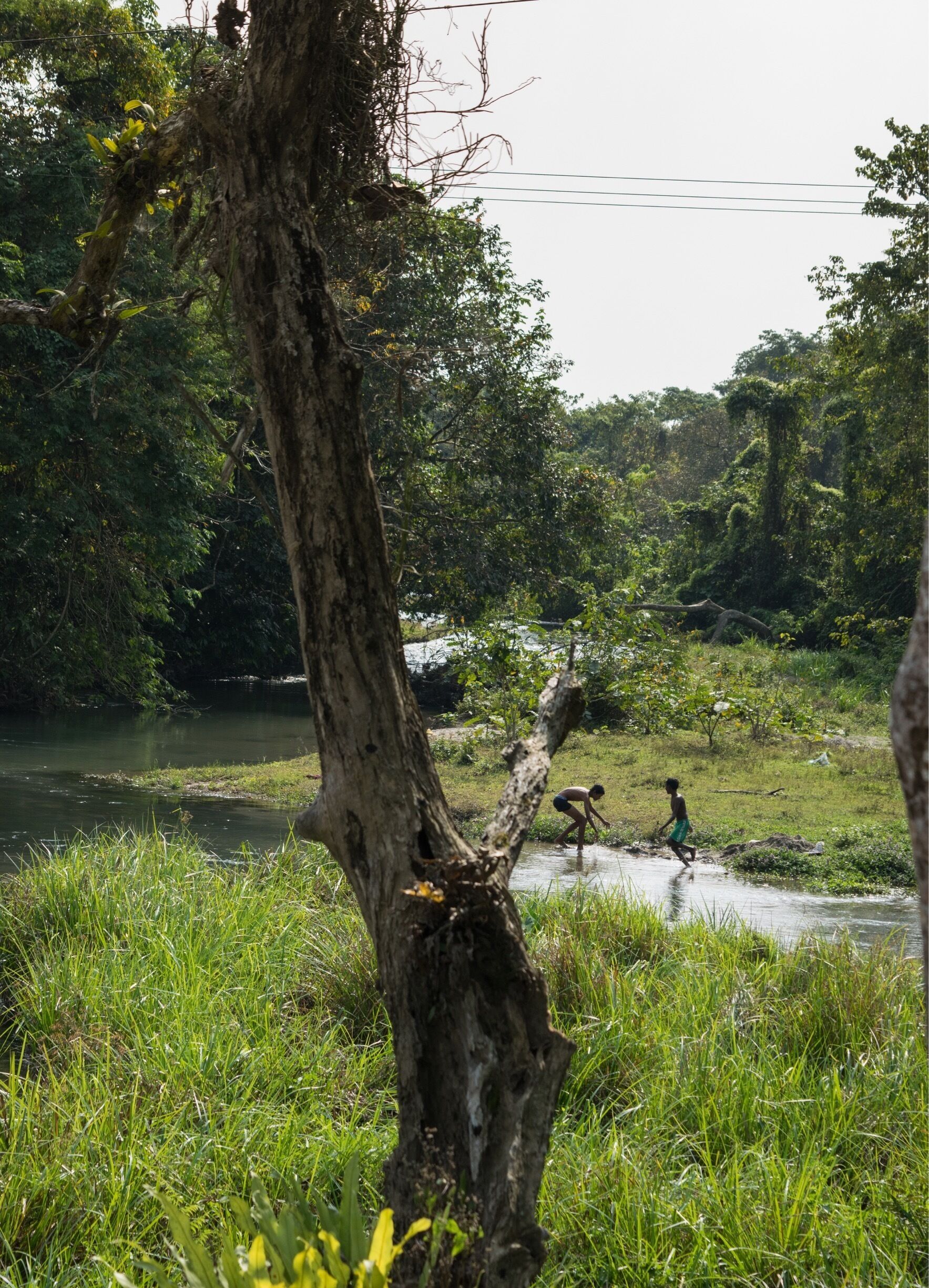 Innocence #buxavillage