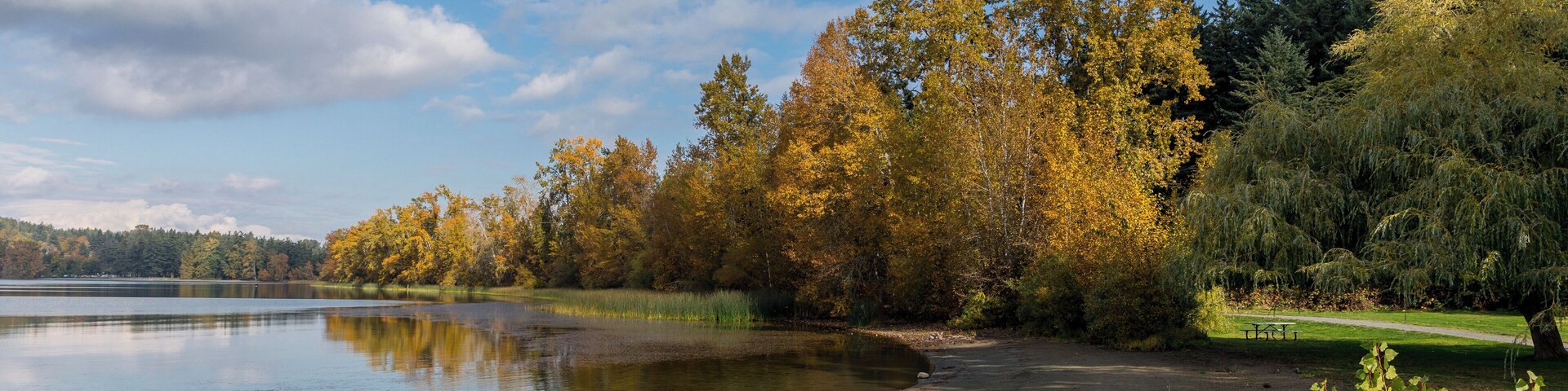 Victoria_Elk/BeaverLakeRegionalPark_553248621562263547