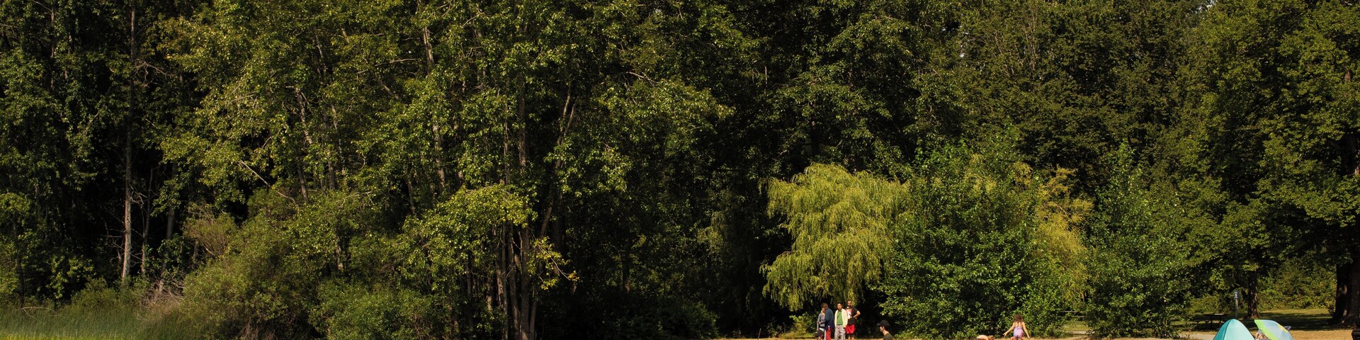 Victoria_Elk-BeaverLakeRegionalPark_553248621562263547-6