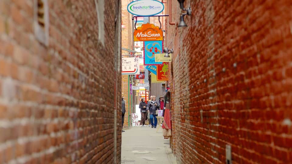 Chinatown showing street scenes and signage