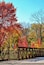 Autumn colorful trees in the Paletta Lakefront Park in Burlington. The scenery of nature with a bridge surrounded by autumn trees. Great natural background.