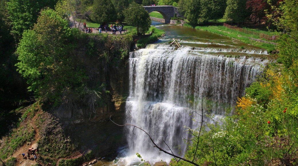Webster waterfall, Dundas, Ontario, Canada.