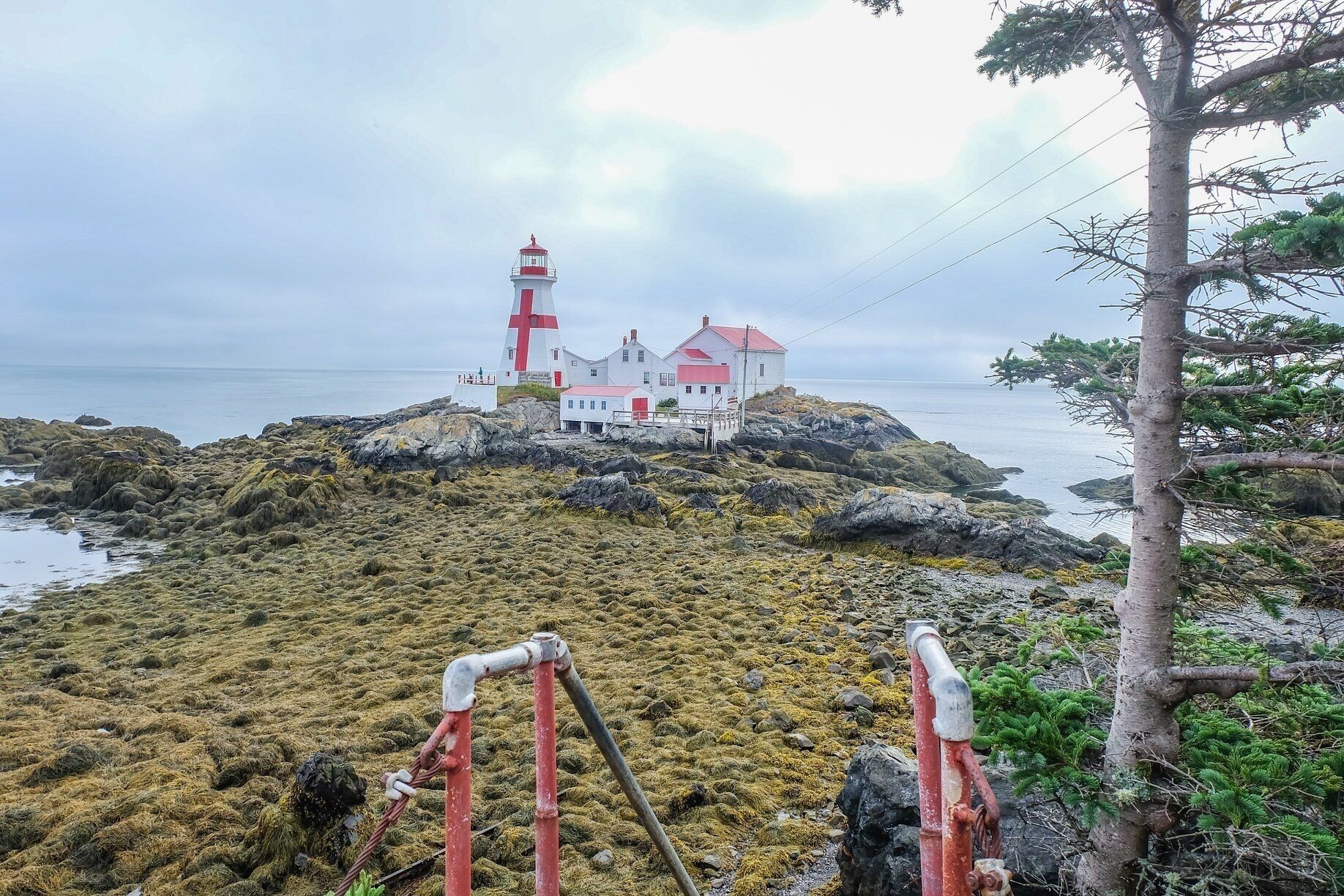 The head harbor light station in Campobello Island is as beautiful as it’s an adventure since you can only get there in low tide.. have to be super careful on the slippery rocks.. but it’s so worth seeing it and the views all around! #lighthouse #canada #island 