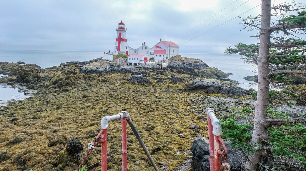 The head harbor light station in Campobello Island is as beautiful as it’s an adventure since you can only get there in low tide.. have to be super careful on the slippery rocks.. but it’s so worth seeing it and the views all around! #lighthouse #canada #island