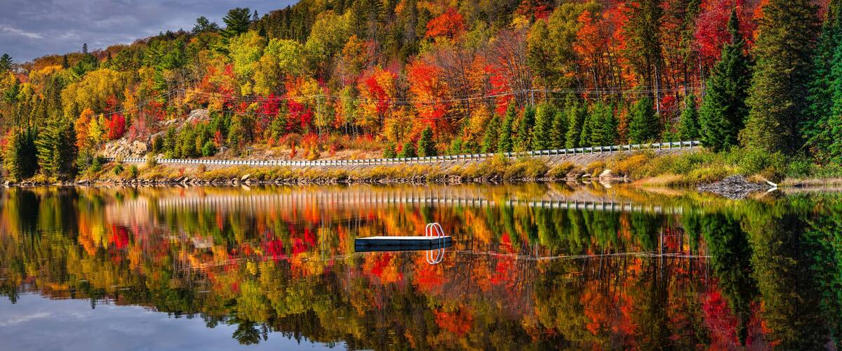 Scenic road in fall forest