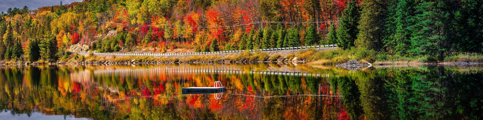 Scenic road in fall forest