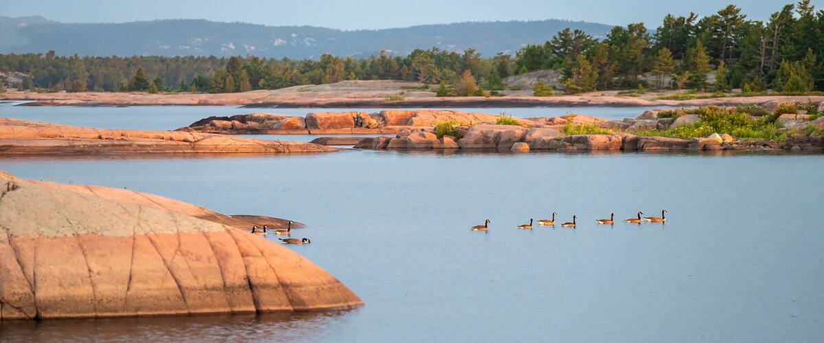 A calm lake with a large rock formation in the foreground and a forested hill in the background.