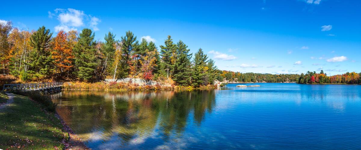 View of colorful trees during Autumn season at Killarney Provincial Park Canada