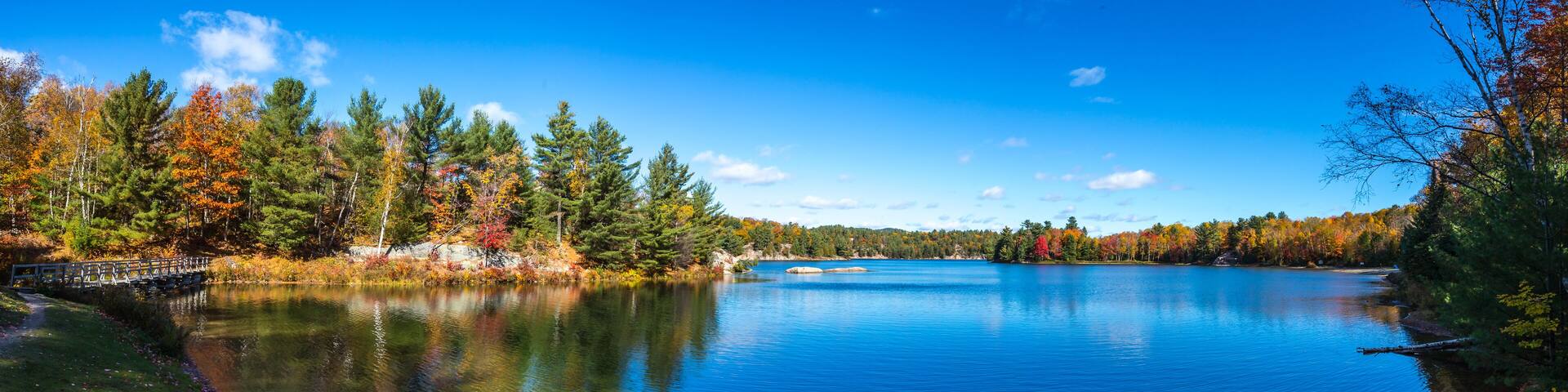 View of colorful trees during Autumn season at Killarney Provincial Park Canada