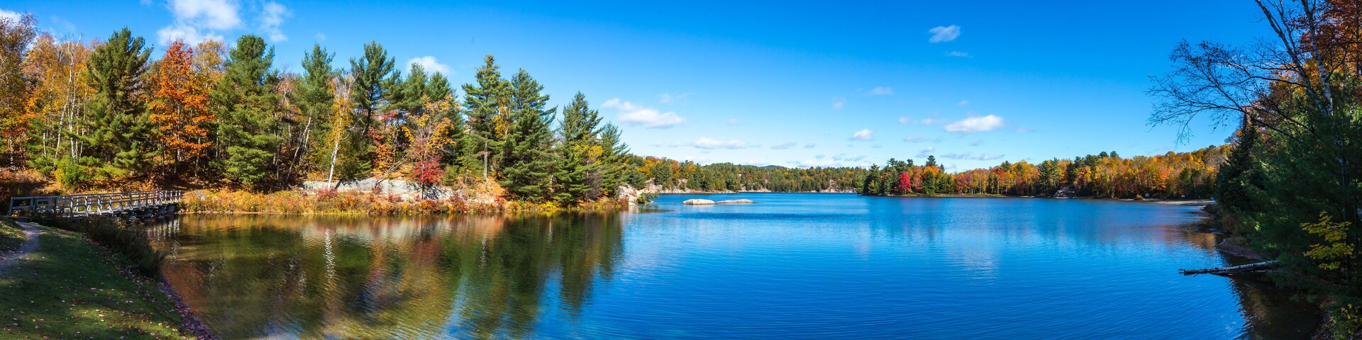 View of colorful trees during Autumn season at Killarney Provincial Park Canada