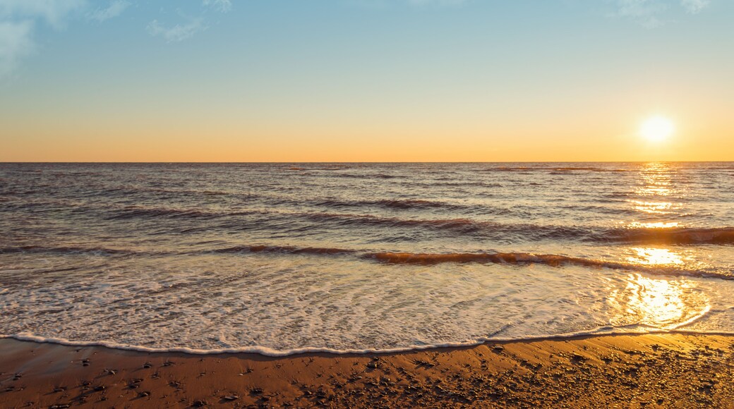 Cedar Dunes Provincial Park