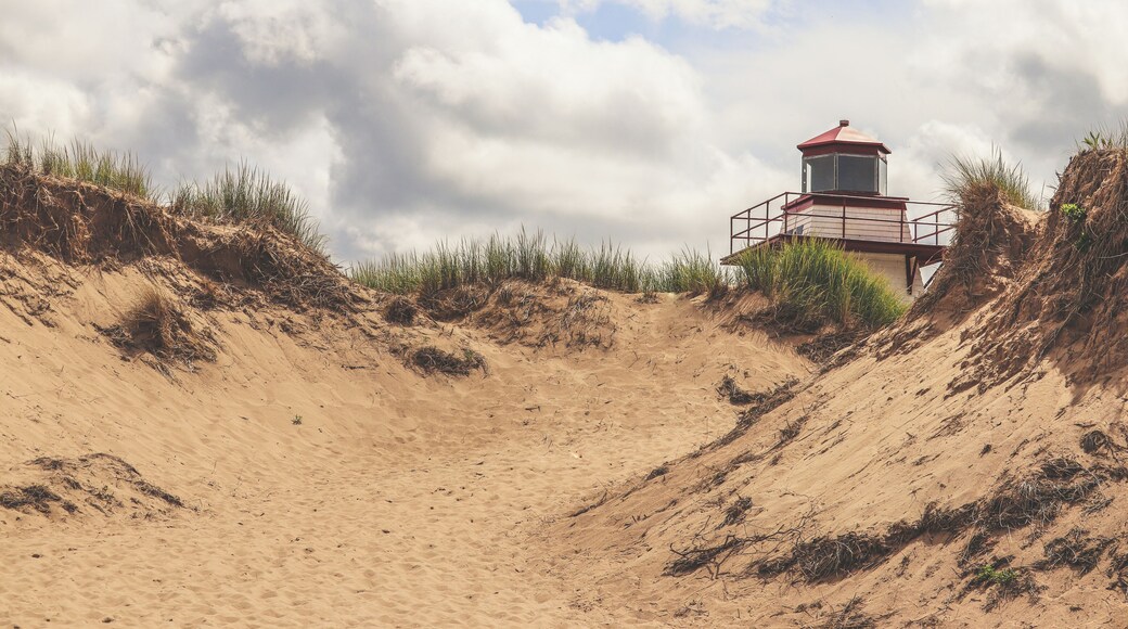Path leading upto the light house which can be found near Morelle. If you are really into lighthouses like I am, the island is full of them. One day I hope to return and try to find all of them.