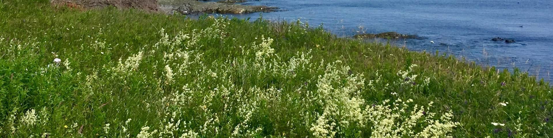 Located in Forillon National Park this Lighthouse is near the end of the St Lawrence River.