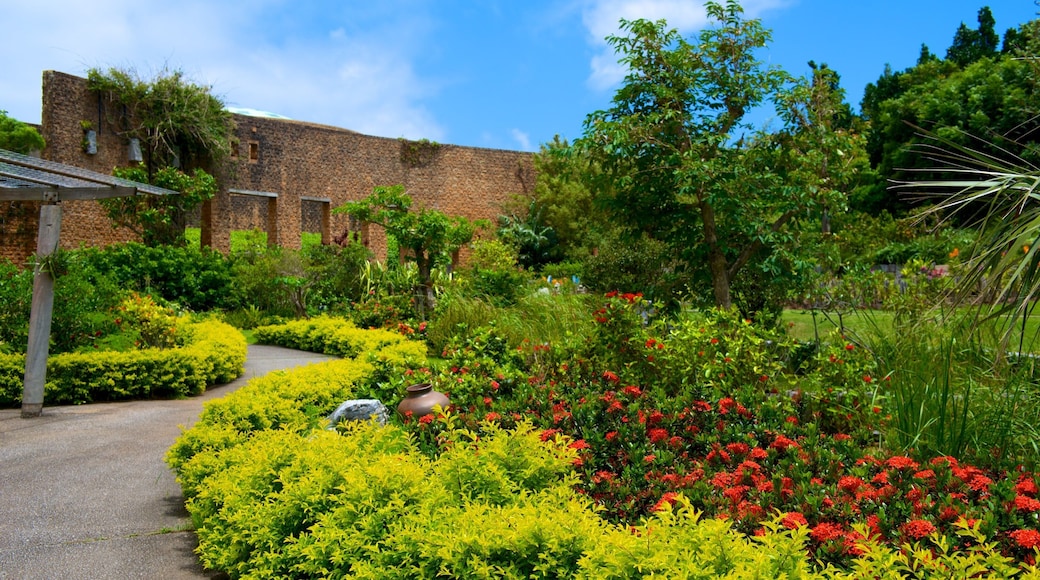 Okinawa showing flowers and a park