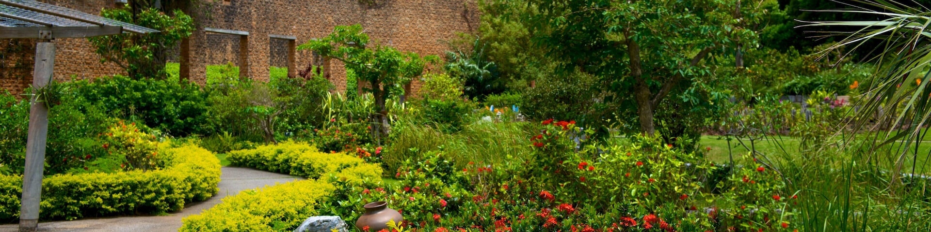 Okinawa showing flowers and a park