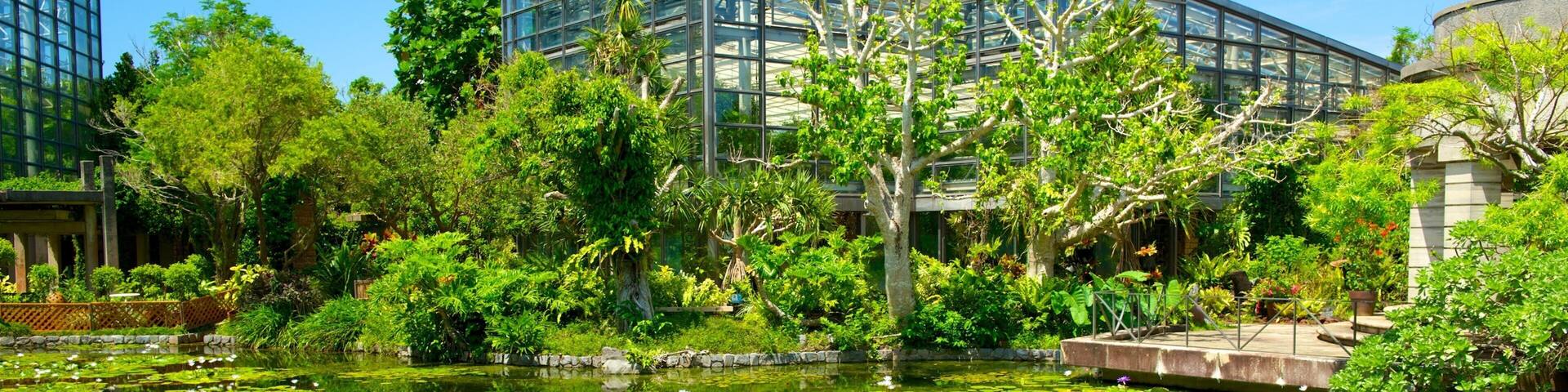 Okinawa showing modern architecture, a garden and a pond