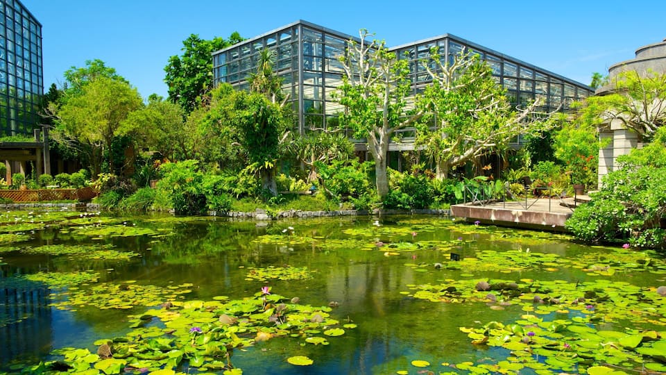 A modern building with glass windows, surrounded by lush greenery and a pond with lily pads.