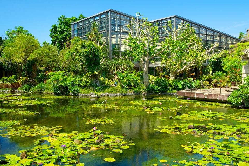 A modern building with glass windows, surrounded by lush greenery and a pond with lily pads.