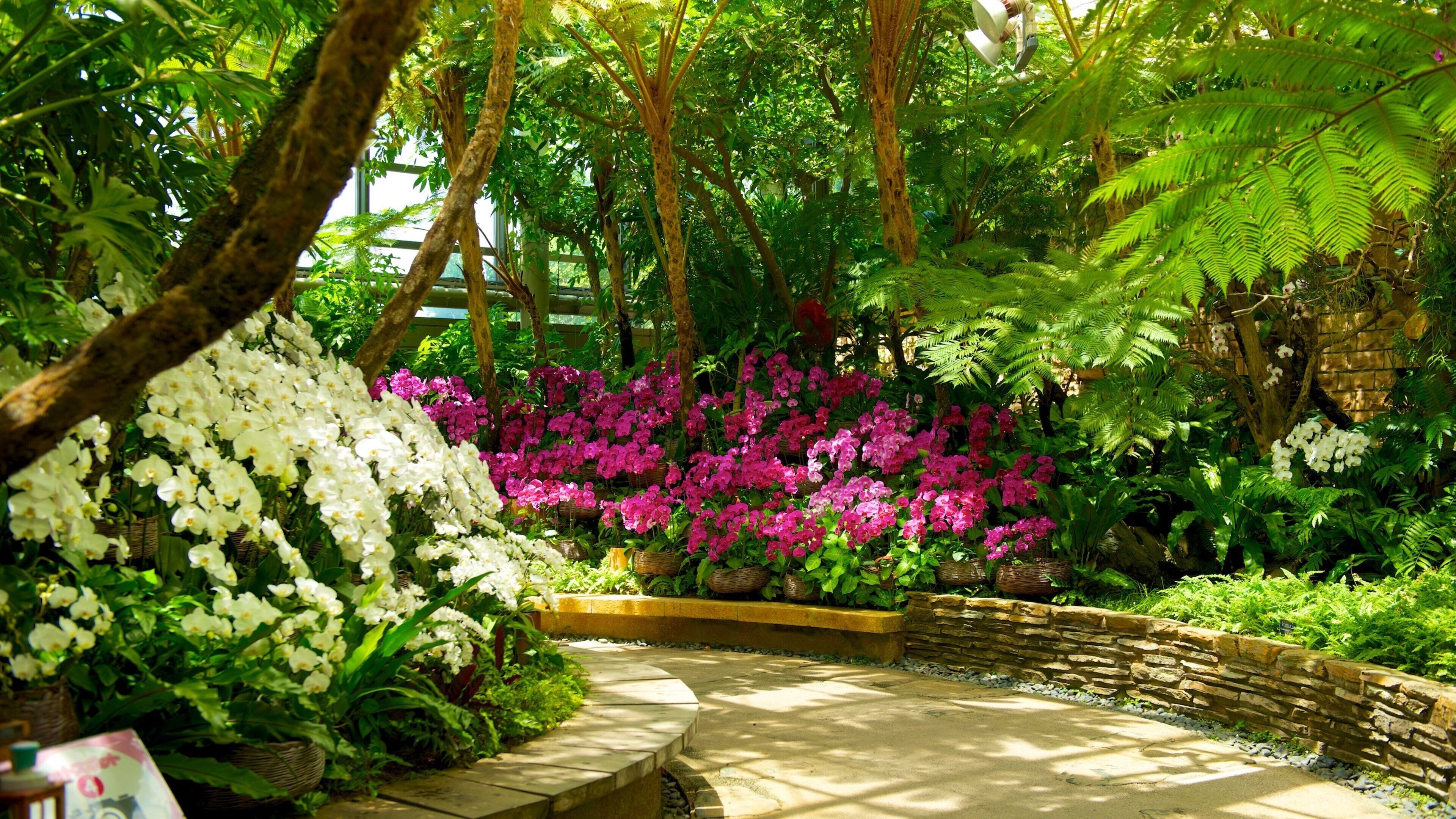 Okinawa mostrando parco