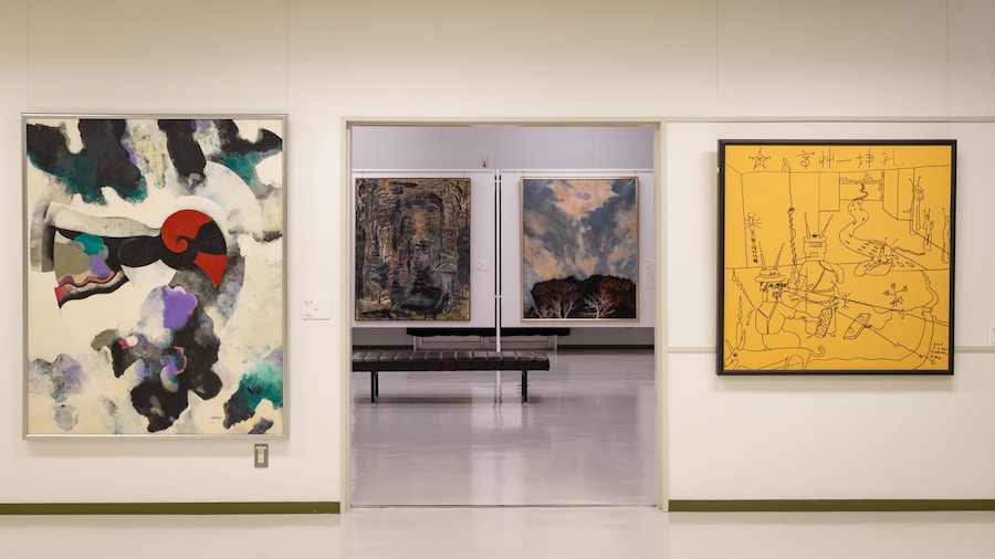 Beppu Art Museum which includes interior views and art