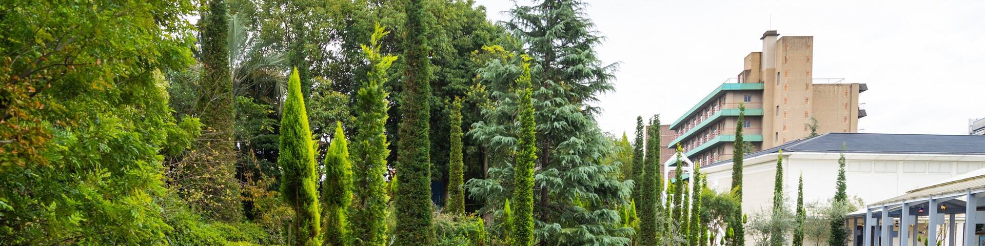 Dogo Giyaman Glass Museum