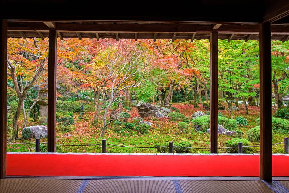 A traditional Japanese garden with a wooden walkway, vibrant autumn foliage, and a red-roofed structure.