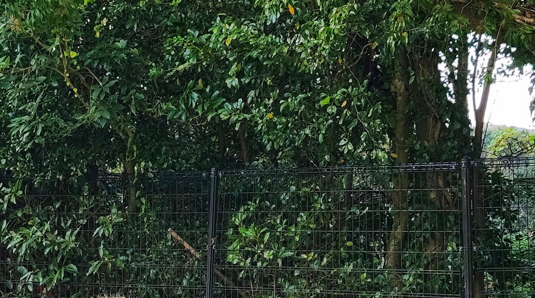 Biopark van Nagasaki