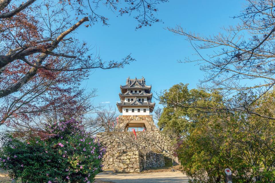 A traditional Japanese pagoda surrounded by cherry blossoms and stone walls.