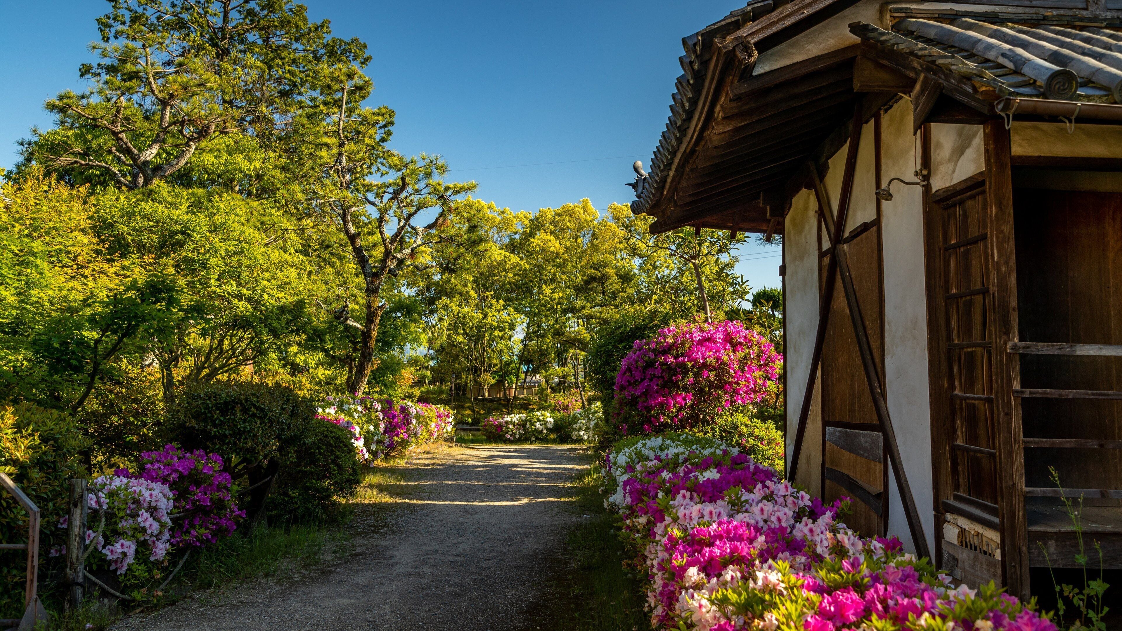 Hokiji Temple featuring wildflowers and a garden