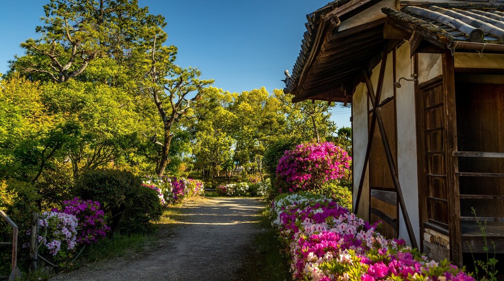 Hokiji Temple featuring wildflowers and a garden