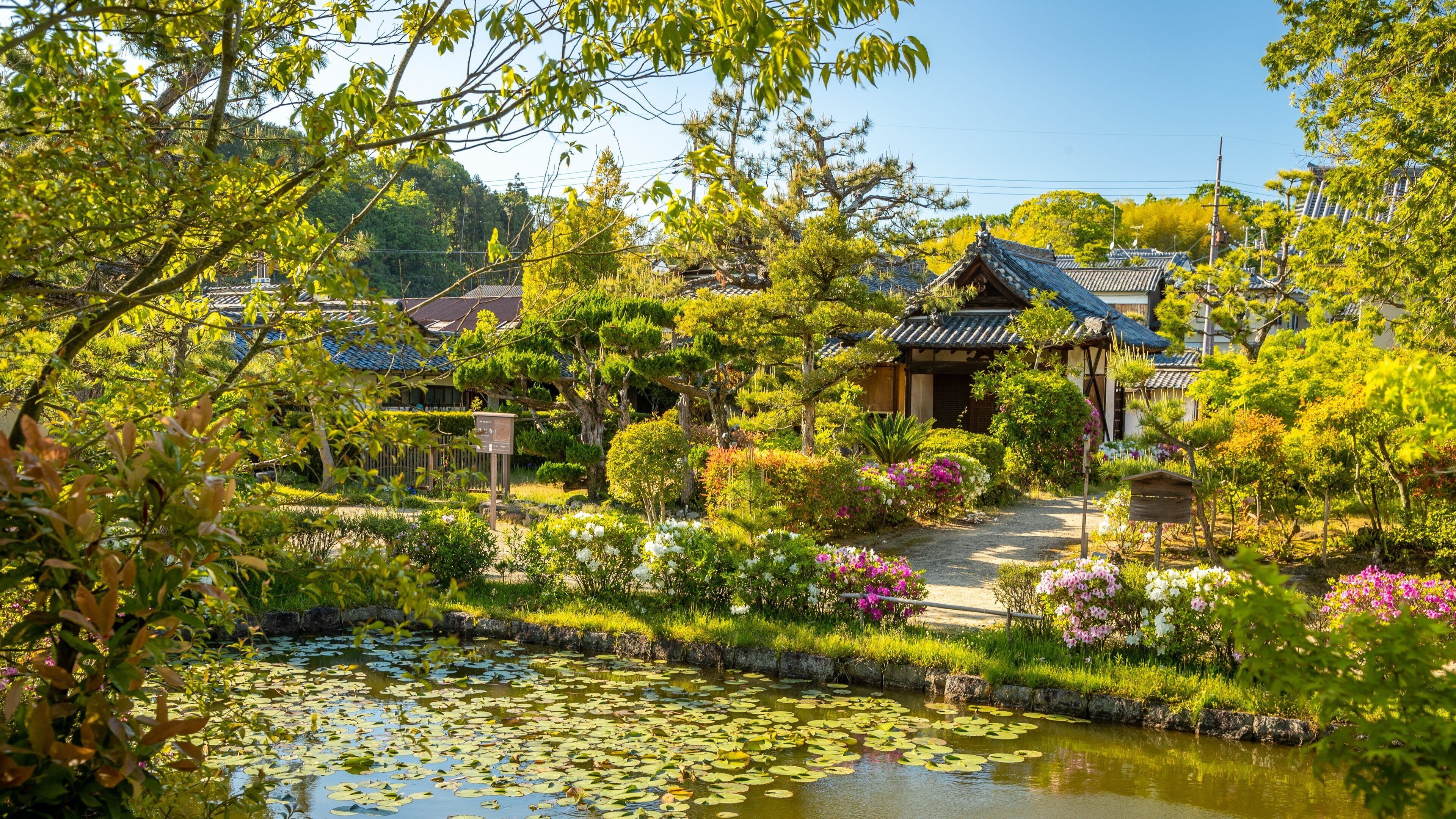 Hokiji Temple featuring a pond and a garden