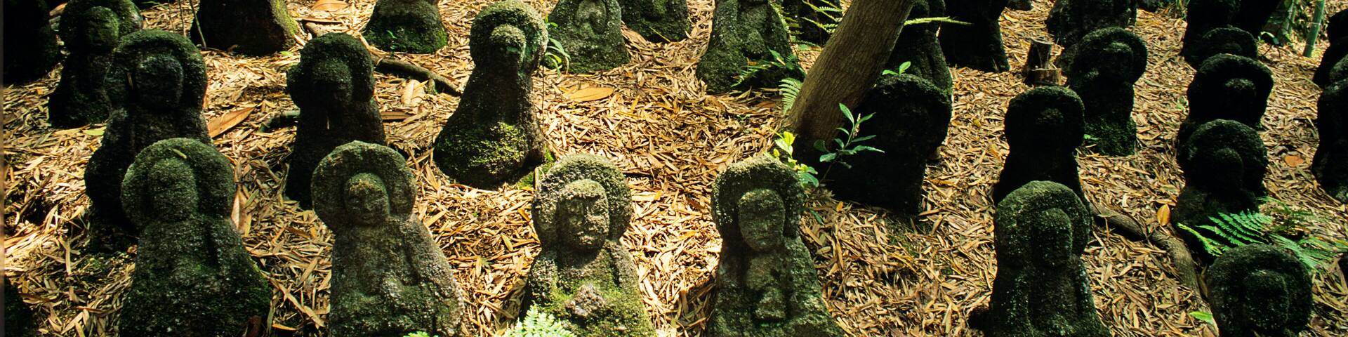 ETFMC5 Buddha statues nestle beneath a bamboo grove at the Sekihoji Temple...