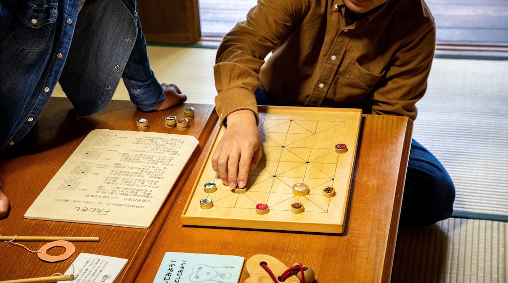 Naramachi Mechanical Toy Museum showing interior views as well as an individual male