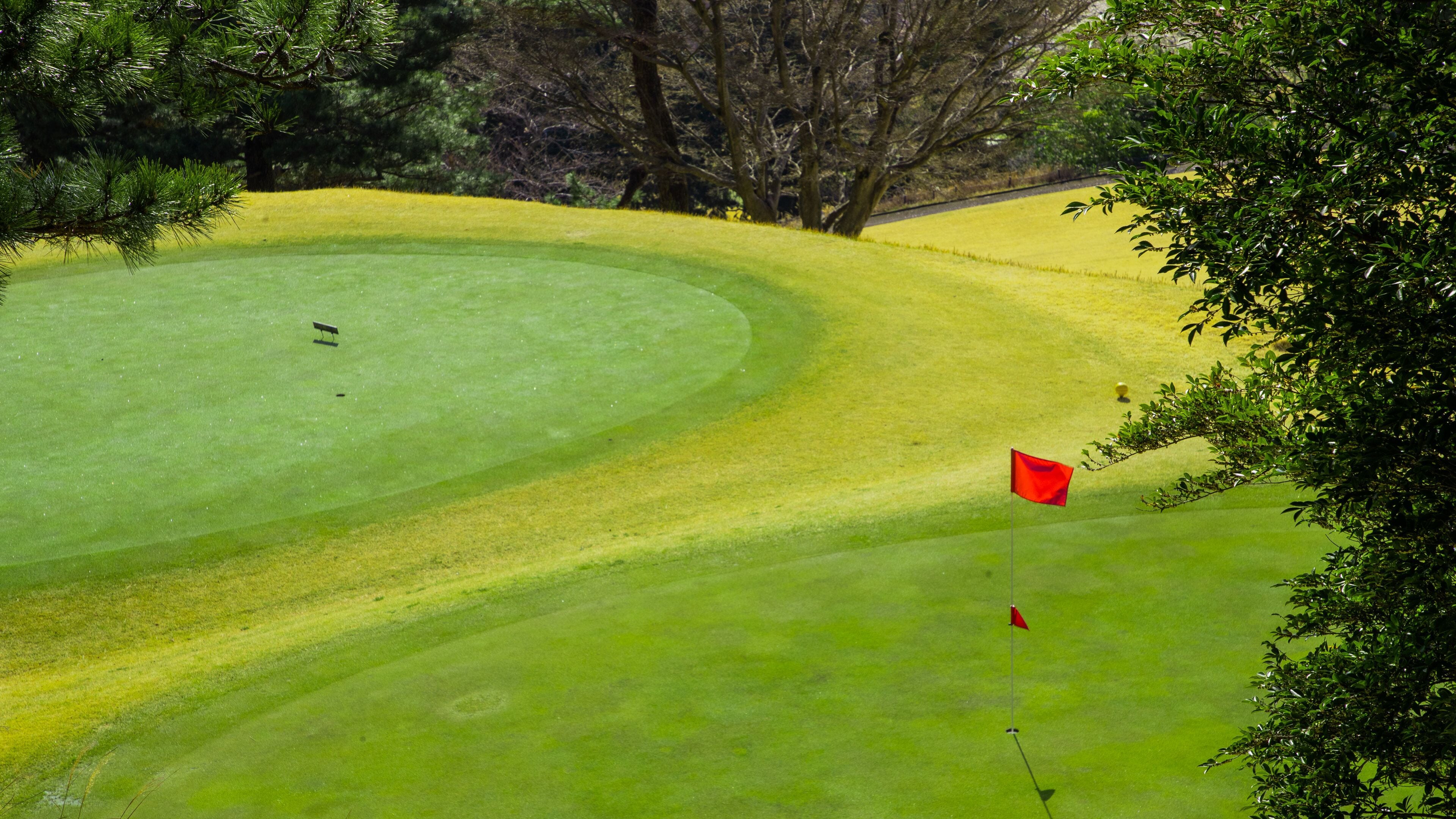 Atami Golf Club showing golf