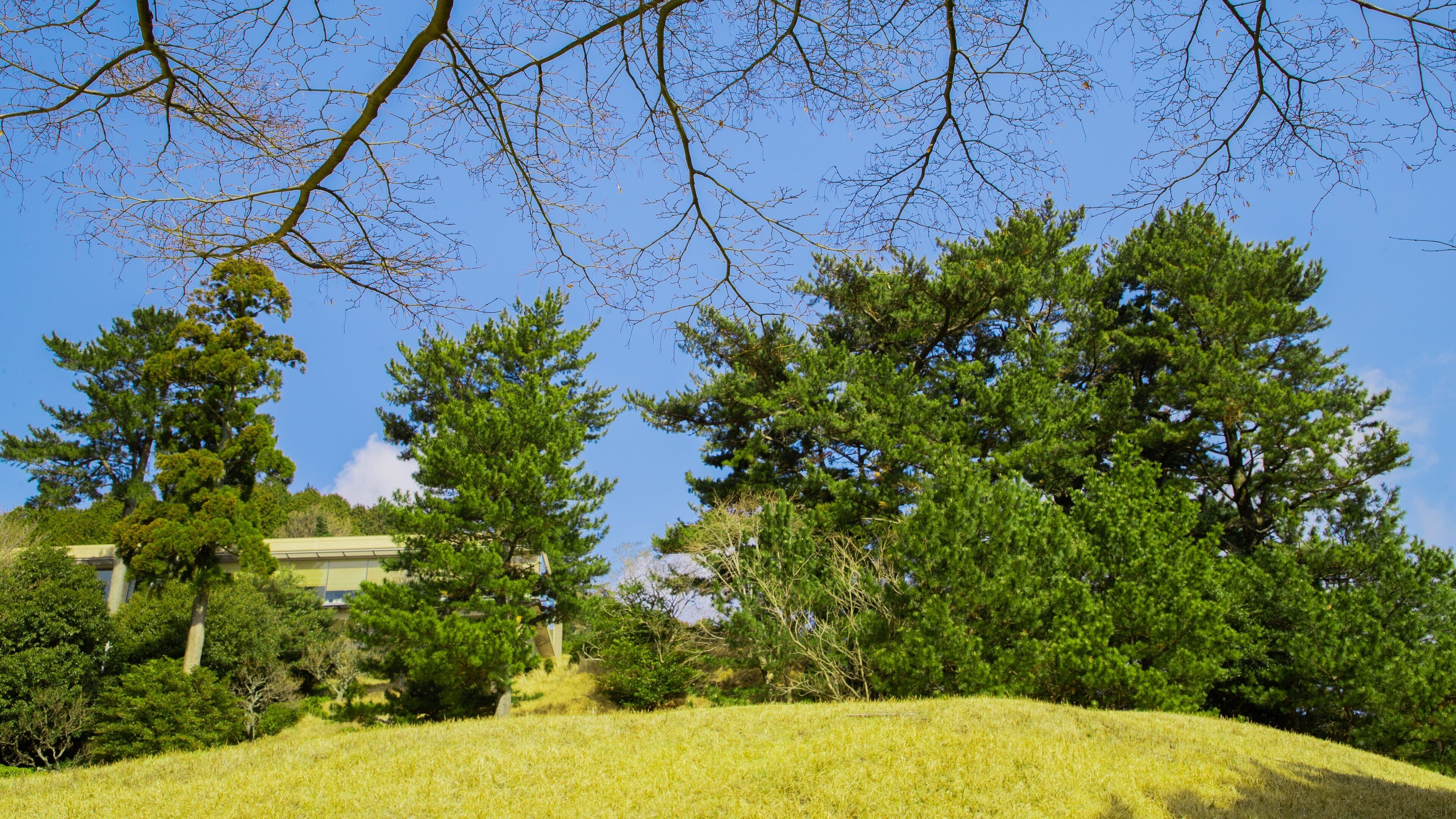 Atami Golf Club showing a garden