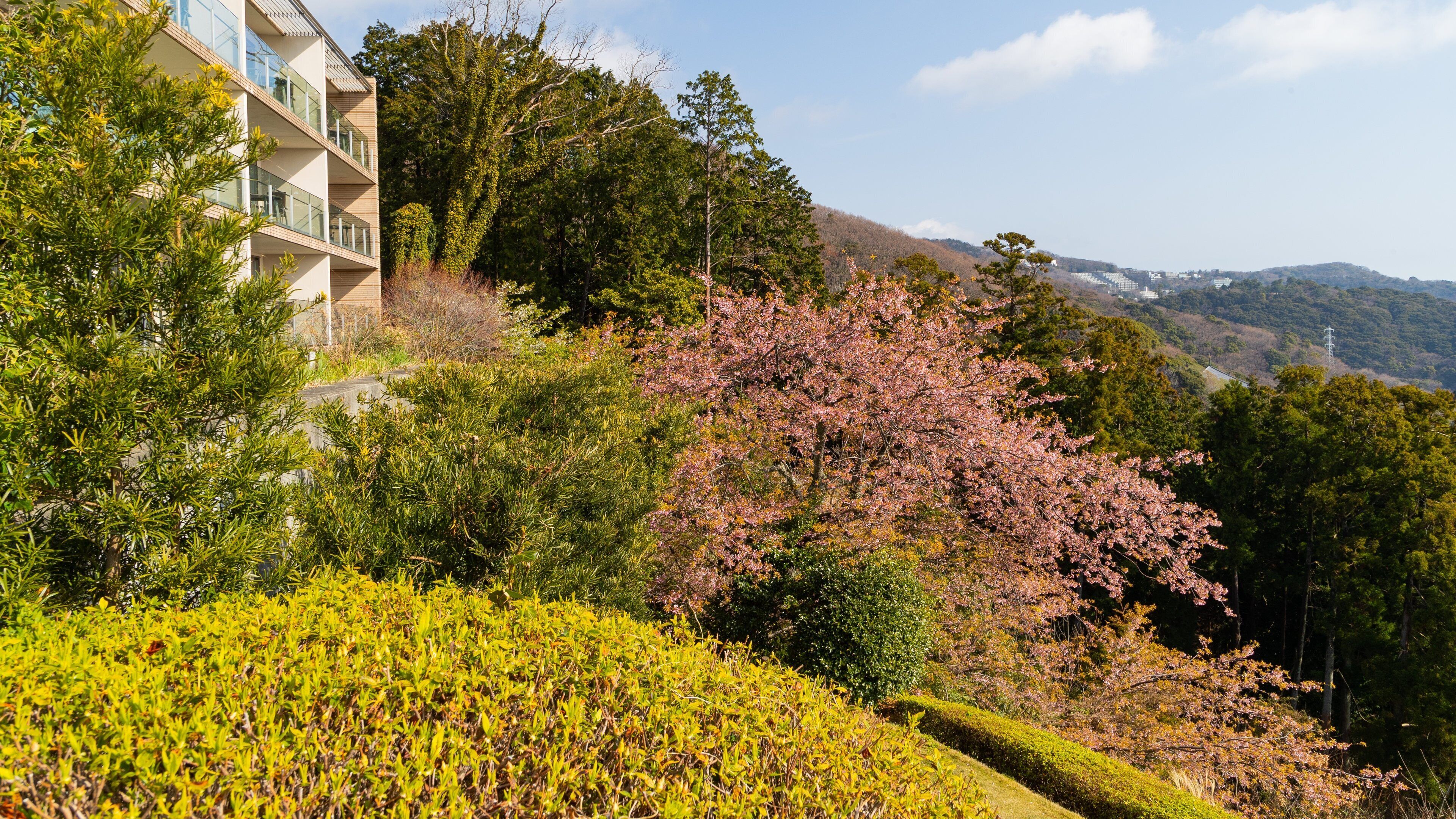 Atami Golf Club showing tranquil scenes