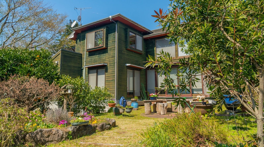 Ito showing a park and a house
